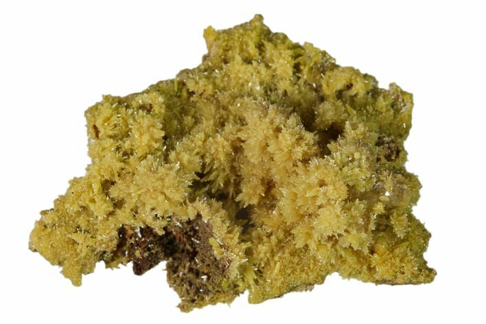 Mimetite and Calcite Crystals on Limonitic Matrix - Mexico #157087